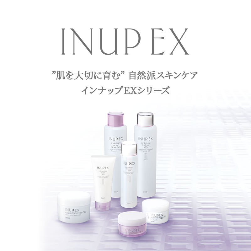 INUP EX（インナップEX）